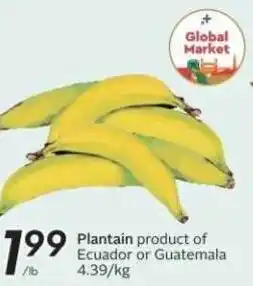 Sobeys Plantain offer