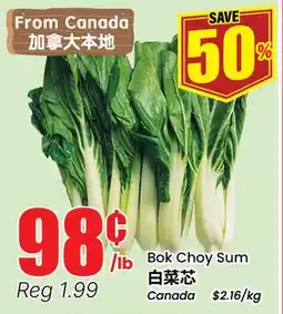 Btrust Supermarket Bok Choy Sum offer