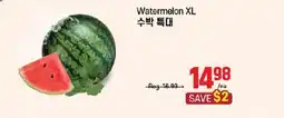 Galleria Supermarket Watermelon XL offer