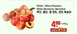 Galleria Supermarket White, Yellow Peaches, White Nectarine, Nectarine offer