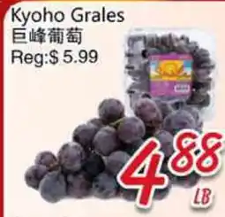Foody Mart Kyoho Grapes offer