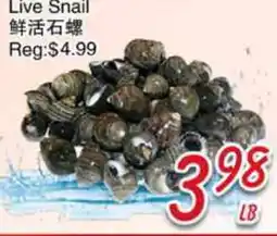 Foody Mart Live Snail offer
