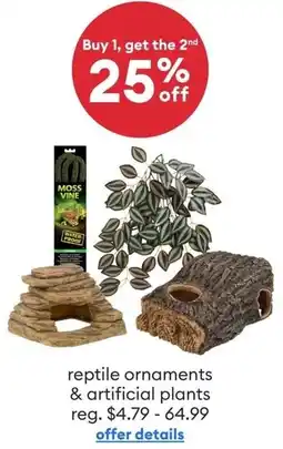 Petsmart Reptile Ornaments & Artificial Plants offer