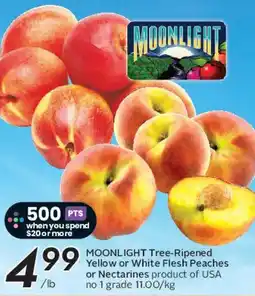 Safeway MOONLIGHT Tree-Ripened Yellow or White Flesh Peaches or Nectarines offer