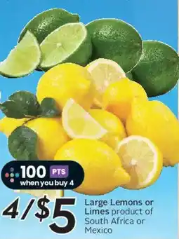 Safeway Large Lemons or Limes offer