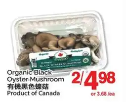 T&T Supermarket ORGANIC BLACK OYSTER MUSHROOM offer