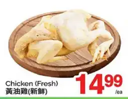 T&T Supermarket CHICKEN offer