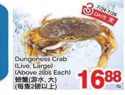T&T Supermarket DUNGENESS CRAB offer