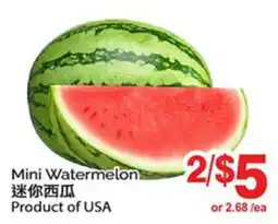 T&T Supermarket MINI WATERMELON offer