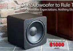 2001 Audio Video SB1000ASH SVS SUBWOOFER BLACK ASH offer