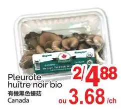 T&T Supermarket PLEUROTE HUÎTRE NOIR BIO offer