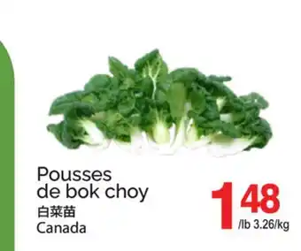 T&T Supermarket POUSSES DE BOK CHOY offer
