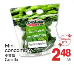T&T Supermarket MINI CONCOMBRE offer