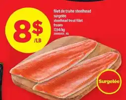 Maxi Filet de truite steelhead surgelée steelhead trout fillet offer