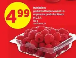 Maxi Framboises offer