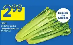 Maxi Céleri offer
