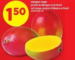 Maxi Mangue rouge offer