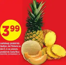 Maxi Cantaloup, produit du québec, de l'ontario ou des é.-u. ou ananas, produit du costa rica offer