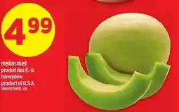 Maxi Melon miel offer