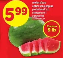 Maxi Melon d'eau entier sans pépins offer