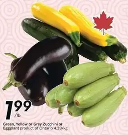 Sobeys Green, Yellow or Grey Zucchini or Eggplant offer
