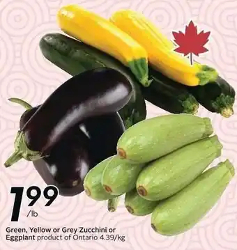 Sobeys Green, Yellow or Grey Zucchini or Eggplant offer