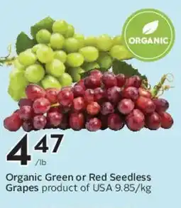 Safeway Organic Green or Red Seedless Grapes offer