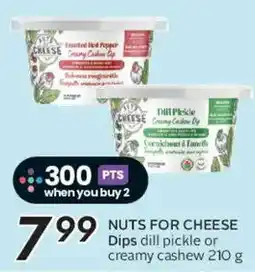 Safeway NUTS FOR CHEESE Dips dill pickle or creamy cashew offer