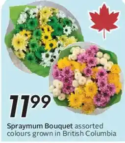 Safeway Spraymum Bouquet offer