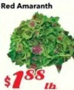 Nations Fresh Foods Red Amaranth offer