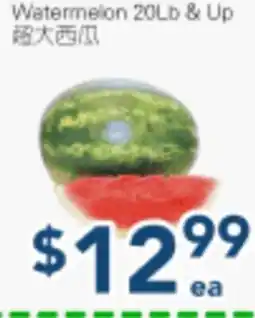 Oceans Fresh Food Market Watermelon 20Lb & Up offer