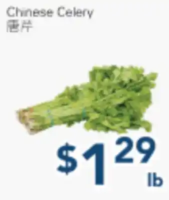 Oceans Fresh Food Market Chinese Celery offer