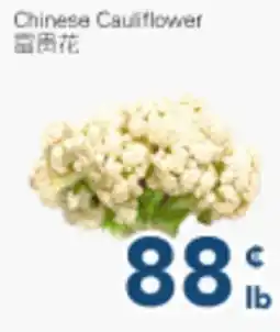 Oceans Fresh Food Market Chinese Cauliflower offer