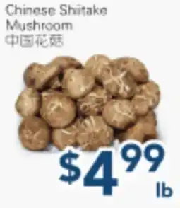 Oceans Fresh Food Market Chinese Shiitake Mushroom offer