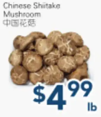 Oceans Fresh Food Market Chinese Shiitake Mushroom offer