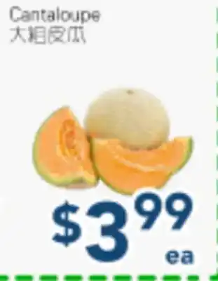 Oceans Fresh Food Market Cantaloupe offer