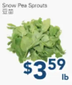 Oceans Fresh Food Market Snow Pea Sprouts offer
