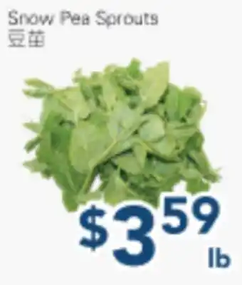 Oceans Fresh Food Market Snow Pea Sprouts offer