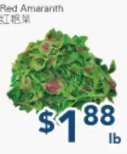 Oceans Fresh Food Market Red Amaranth offer