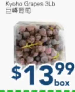 Oceans Fresh Food Market Kyoho Grapes 3Lb offer