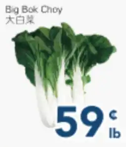 Oceans Fresh Food Market Big Bok Choy offer