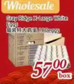 Tone Tai Supermarket Gray Ridge X-Large White Eggs offer
