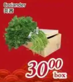 Tone Tai Supermarket Coriander offer