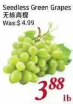 Tone Tai Supermarket Seedless Green Grapes offer