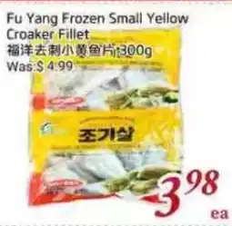 Tone Tai Supermarket Fu Yang Frozen Small Yellow Croaker Fillet offer