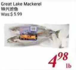 Tone Tai Supermarket Great Lake Mackerel offer