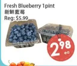 Fresh Palace Supermarket Fresh Blueberry 1 pint offer