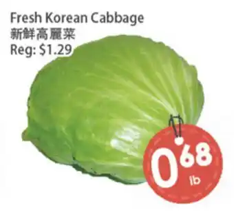 Fresh Palace Supermarket Fresh Korean Cabbage offer