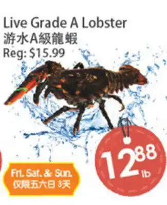 Fresh Palace Supermarket Live Grade A Lobster offer