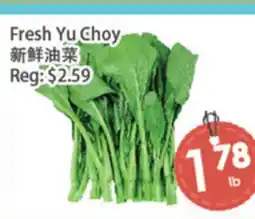 Fresh Palace Supermarket Fresh Yu Choy offer
